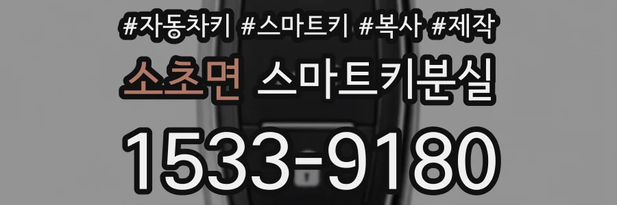 소초면 스마트키분실