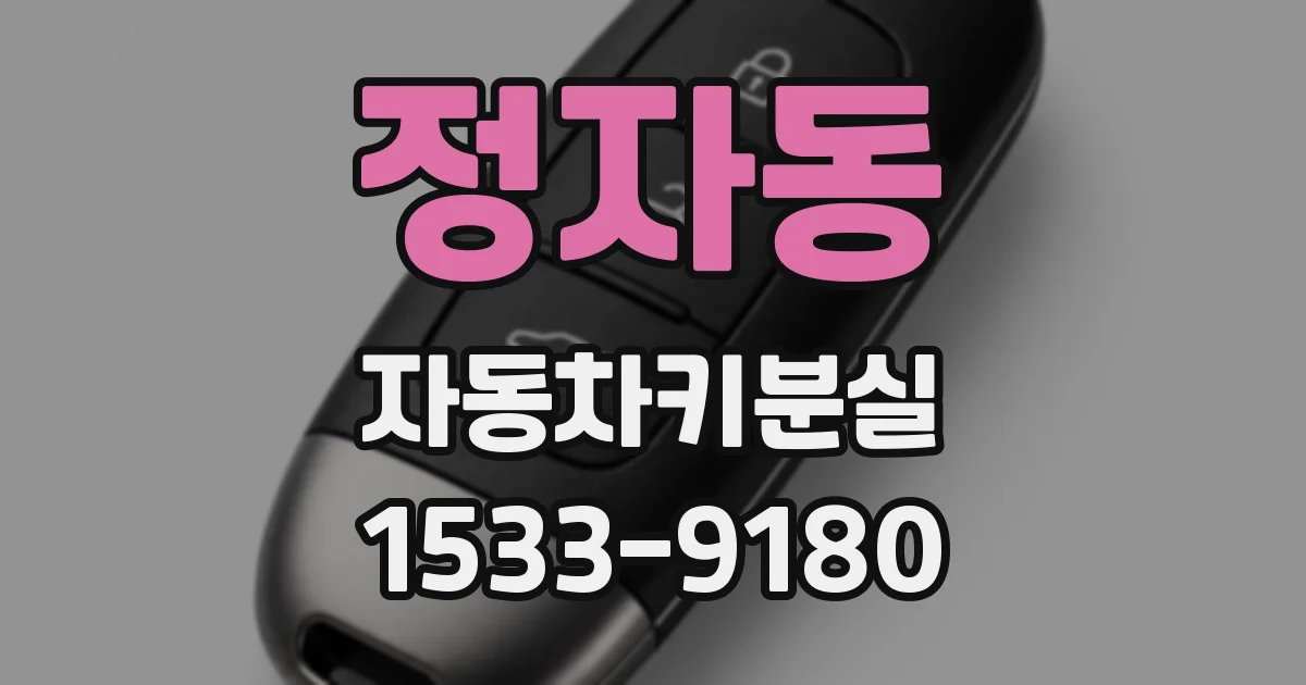 정자동 자동차키분실