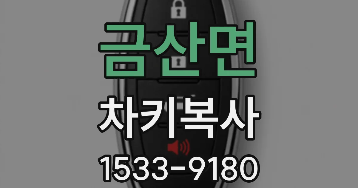 금산면 차키복사