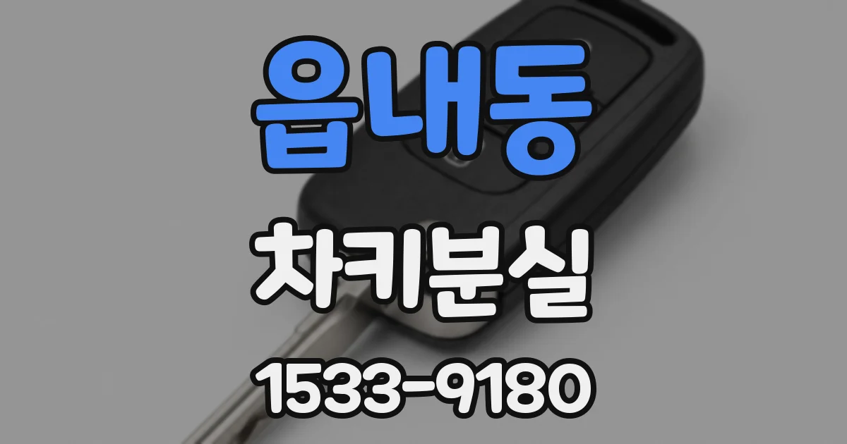 읍내동 차키분실