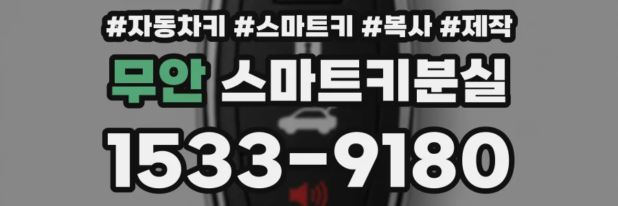무안 스마트키분실