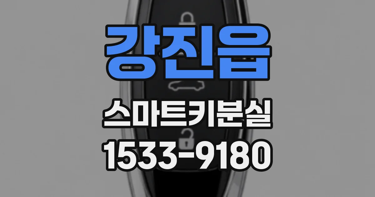 강진읍 스마트키분실