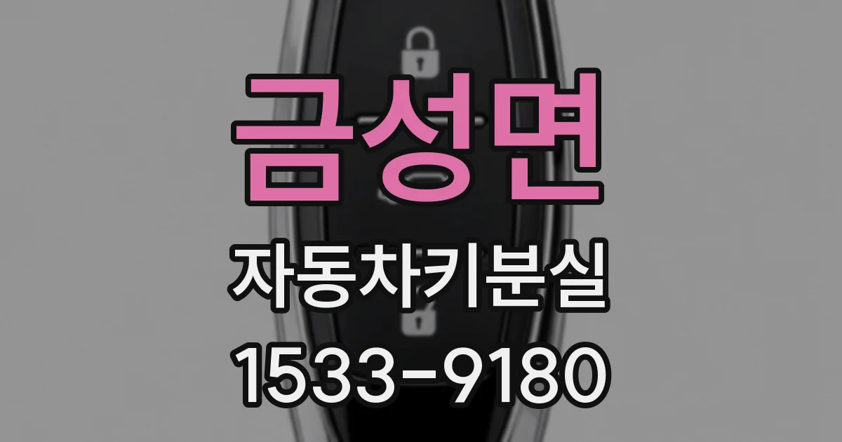 금성면 자동차키분실