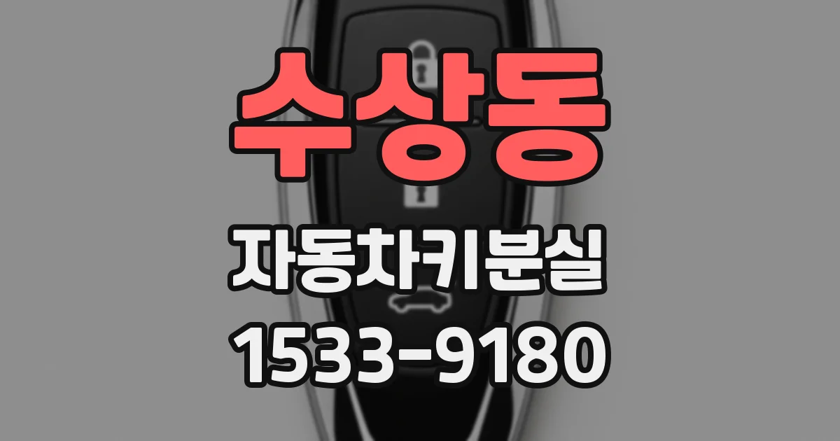 수상동 자동차키분실