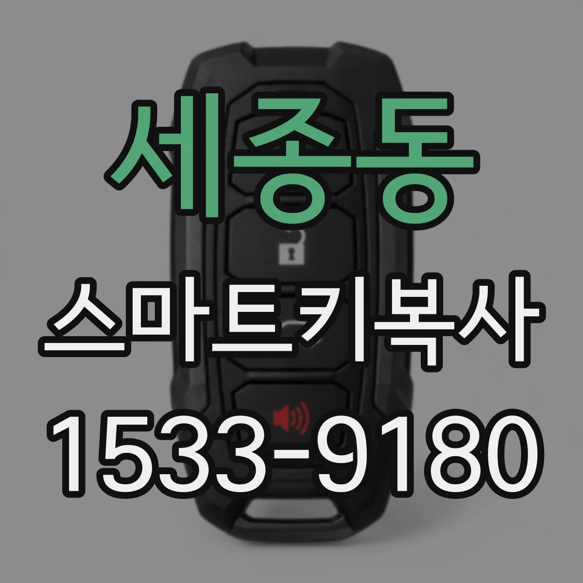 세종동 스마트키복사