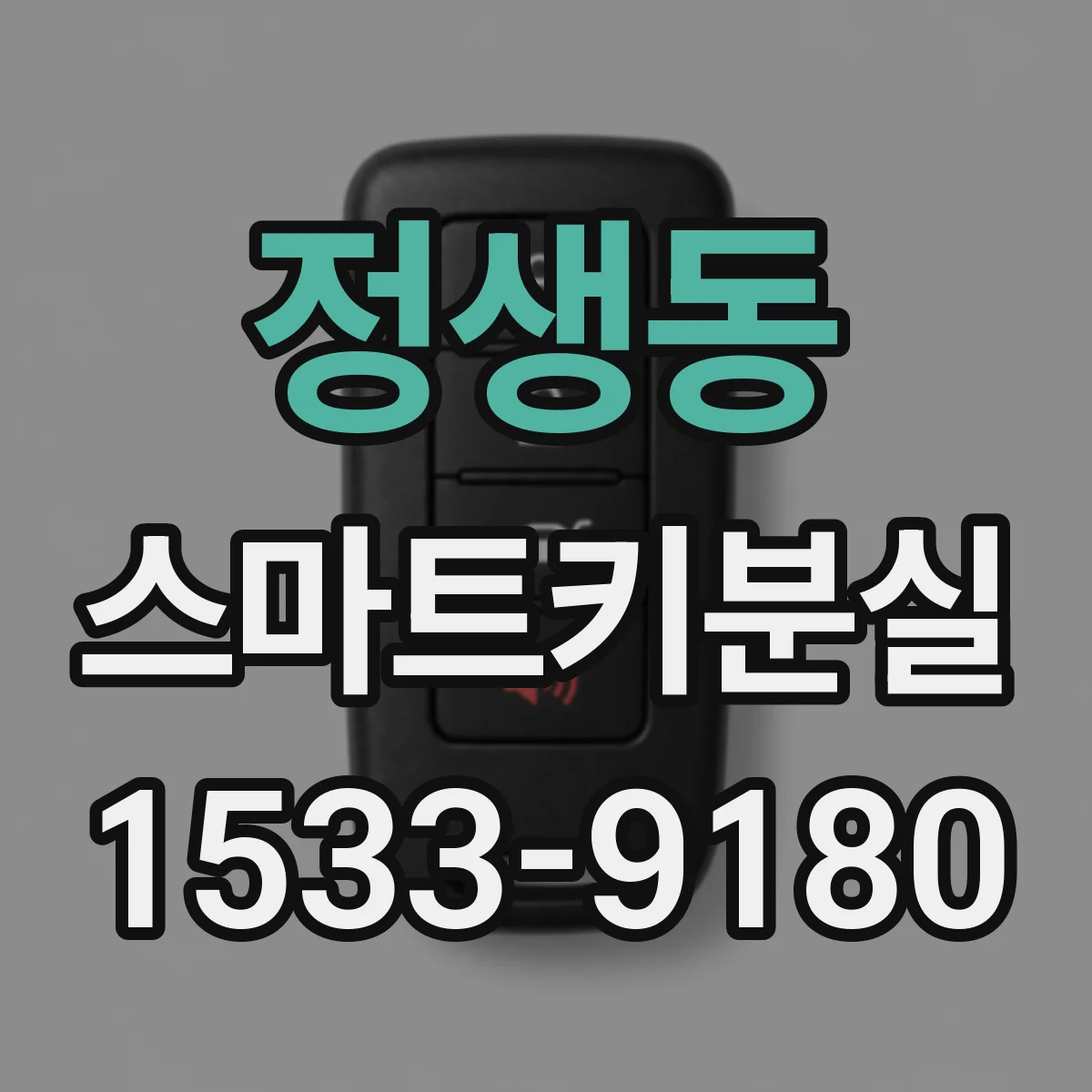 정생동 스마트키분실
