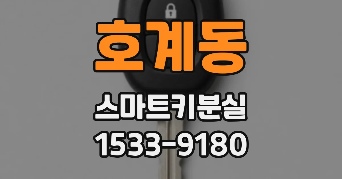 호계동 스마트키분실