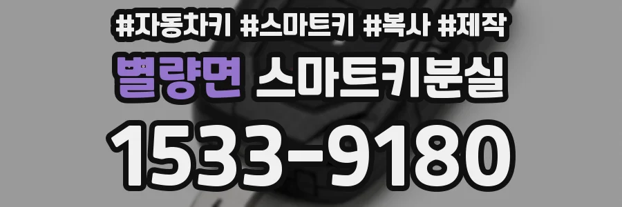 별량면 스마트키분실