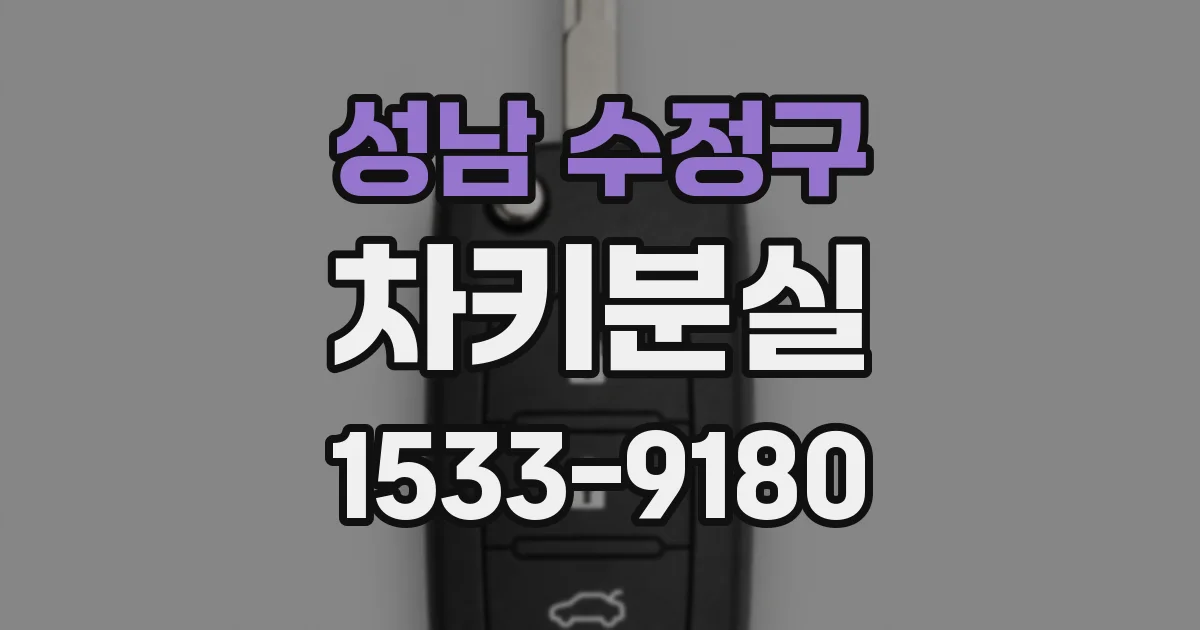 성남 수정구 차키분실
