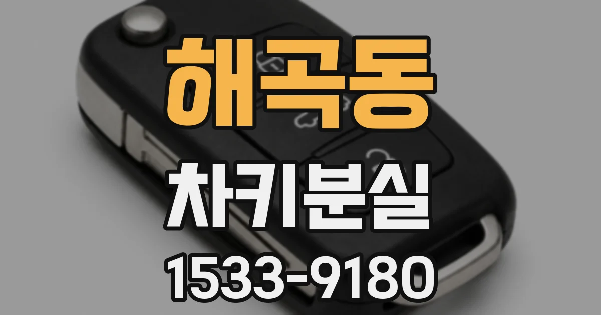 해곡동 차키분실