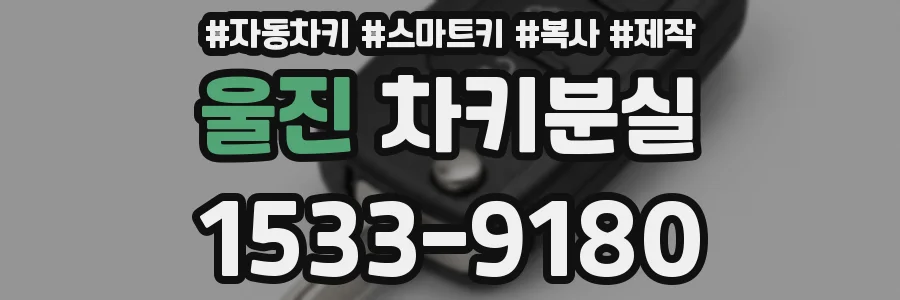 울진 차키분실