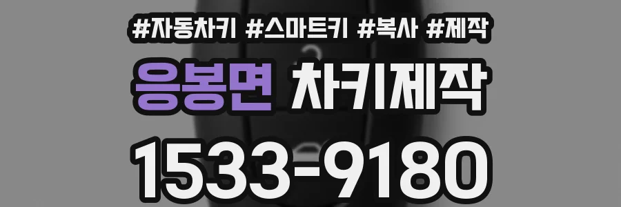 응봉면 차키제작