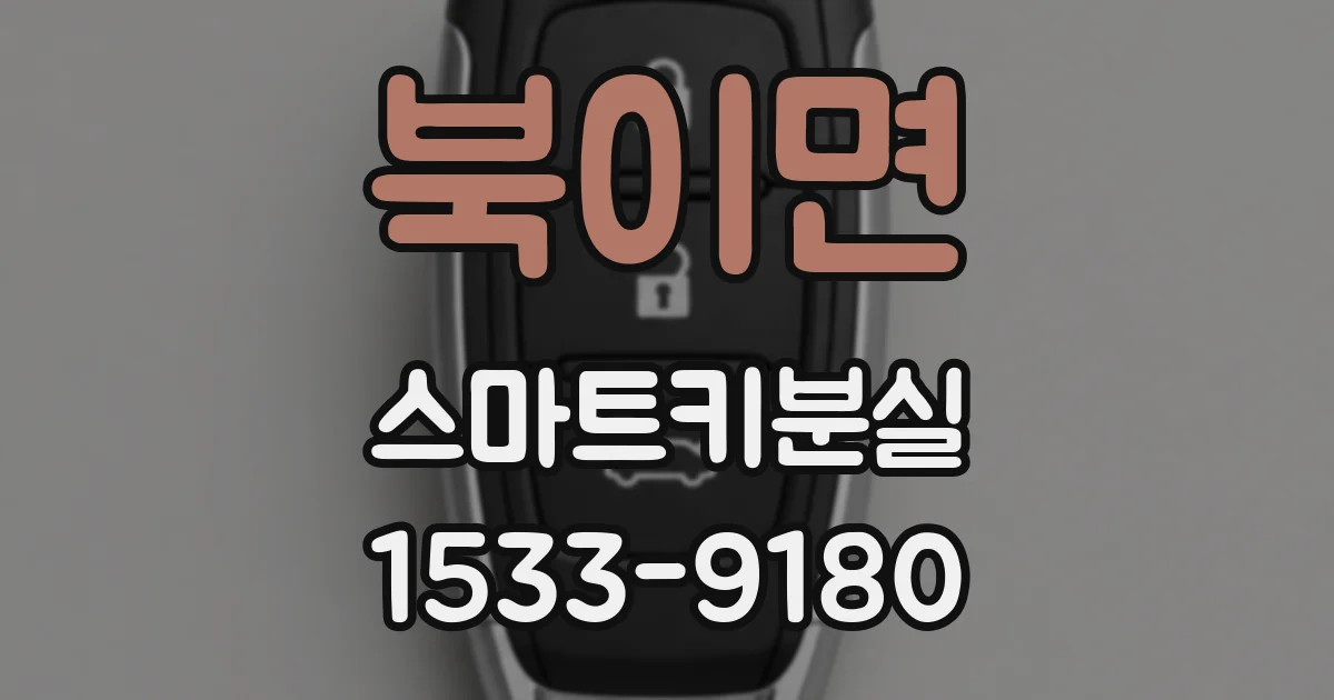 북이면 스마트키분실