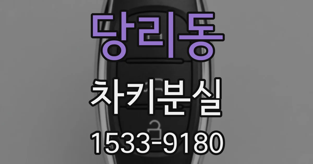 당리동 차키분실