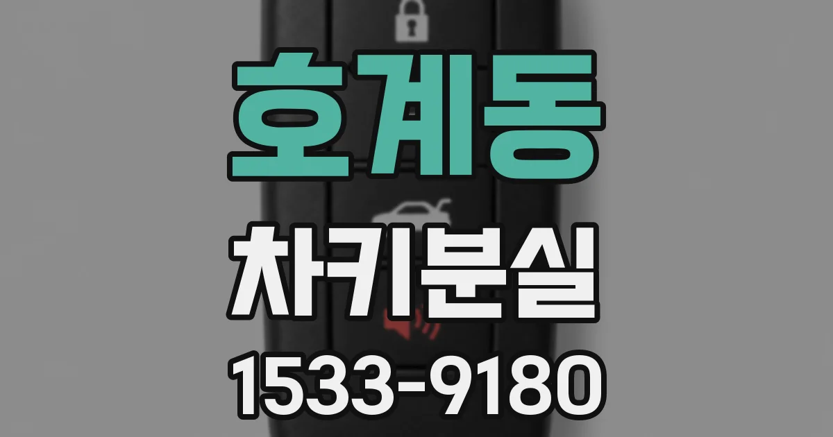 호계동 차키분실