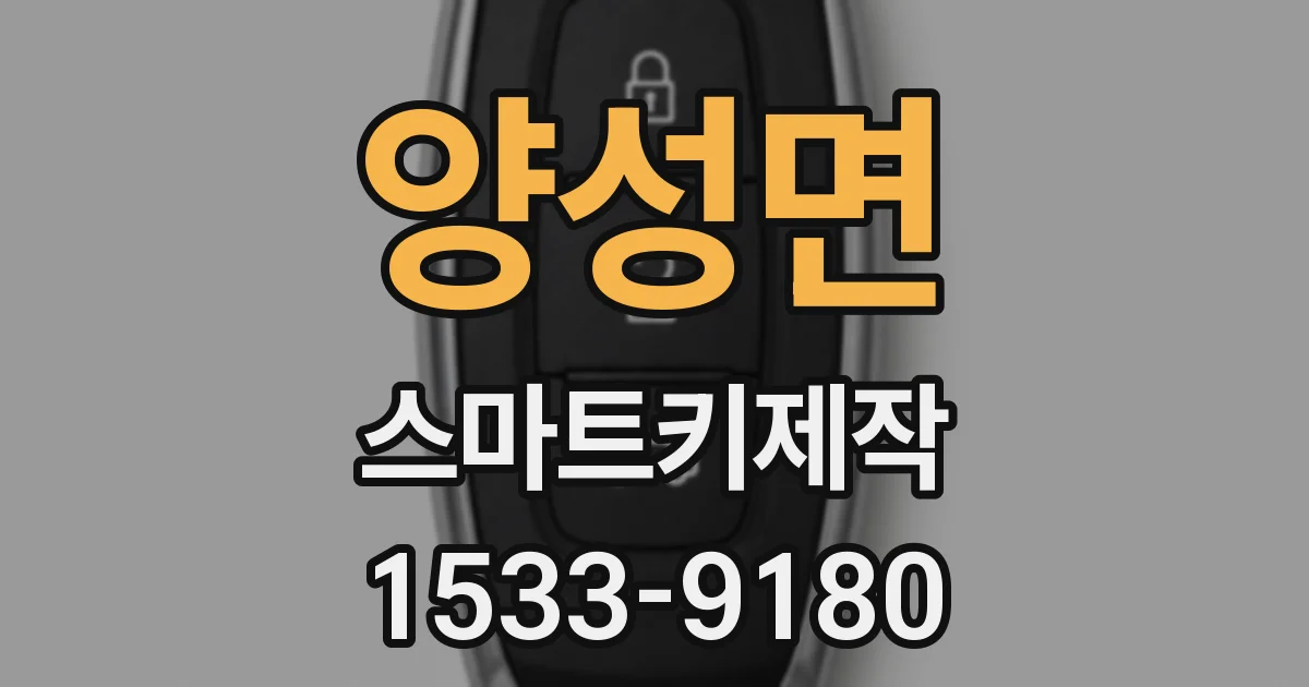 양성면 스마트키제작