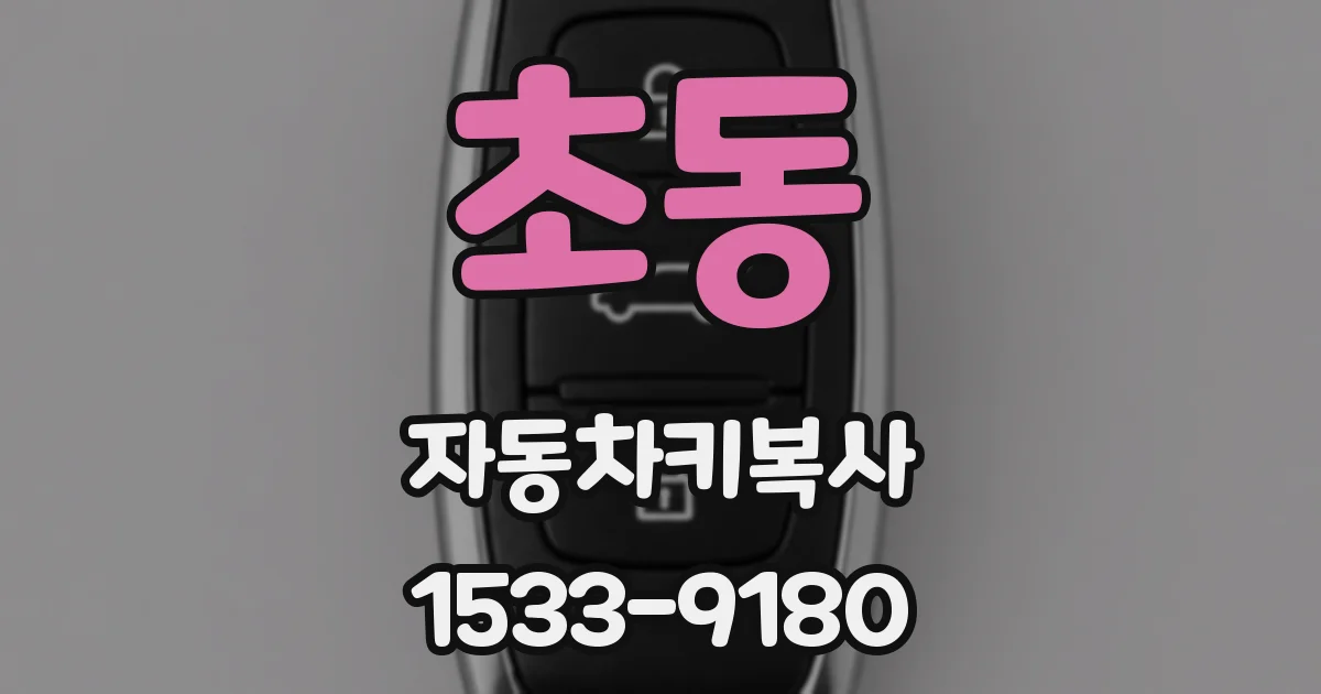 초동 자동차키복사