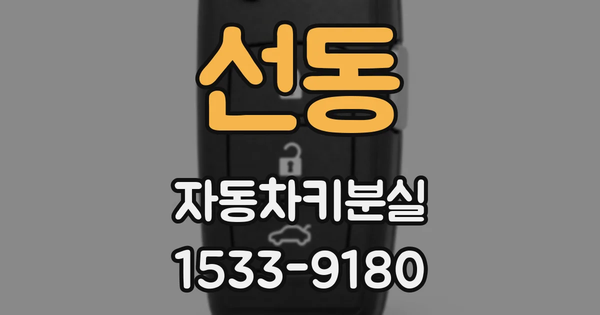 선동 자동차키분실