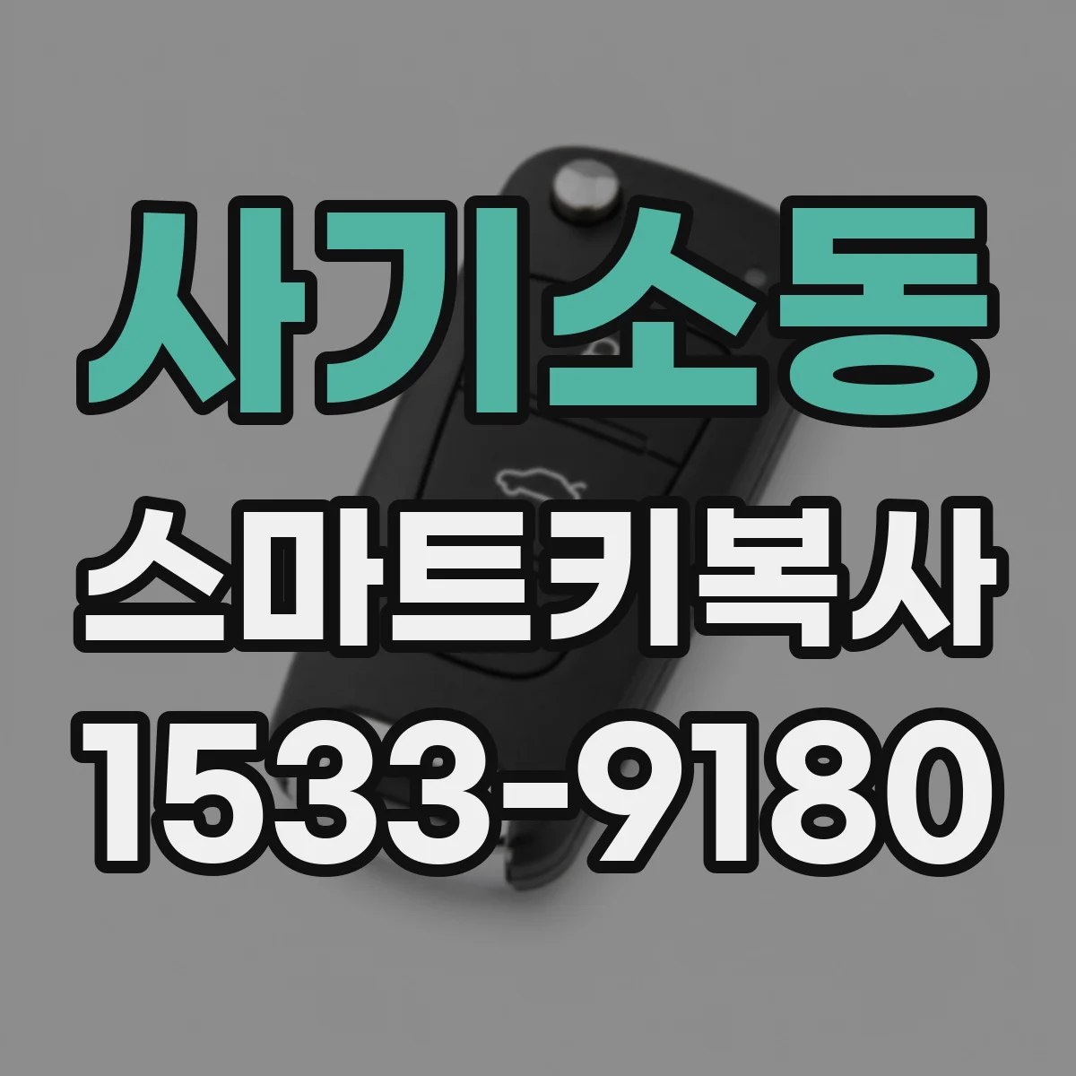 사기소동 스마트키복사