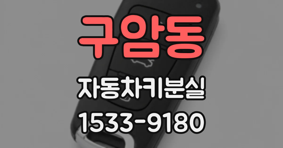 구암동 자동차키분실