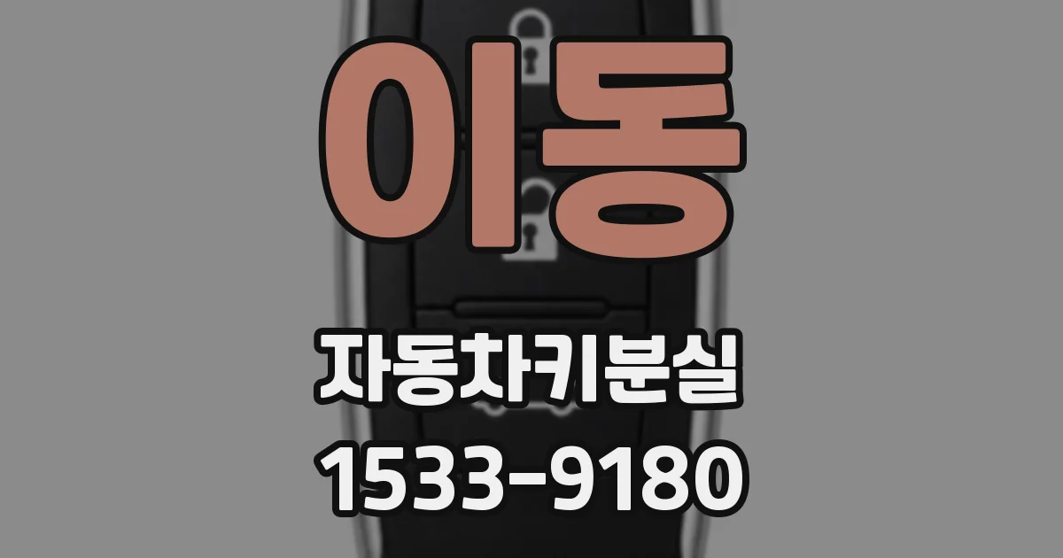 이동 자동차키분실