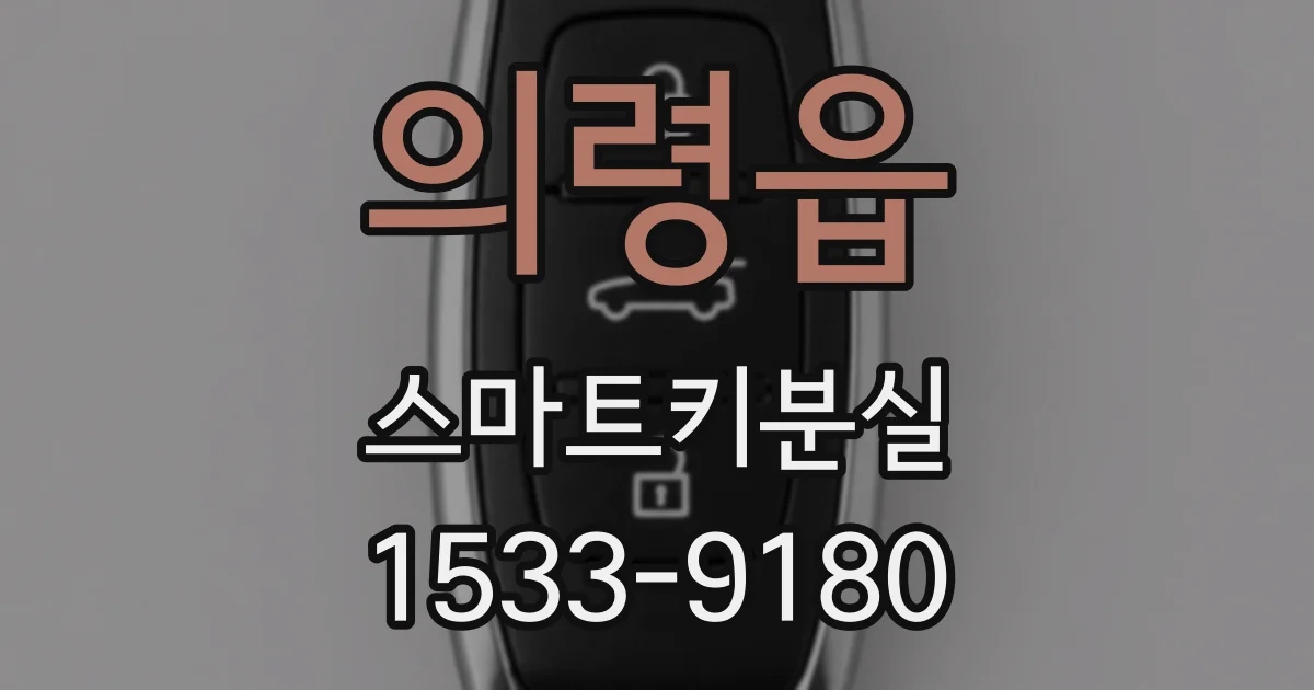 의령읍 스마트키분실