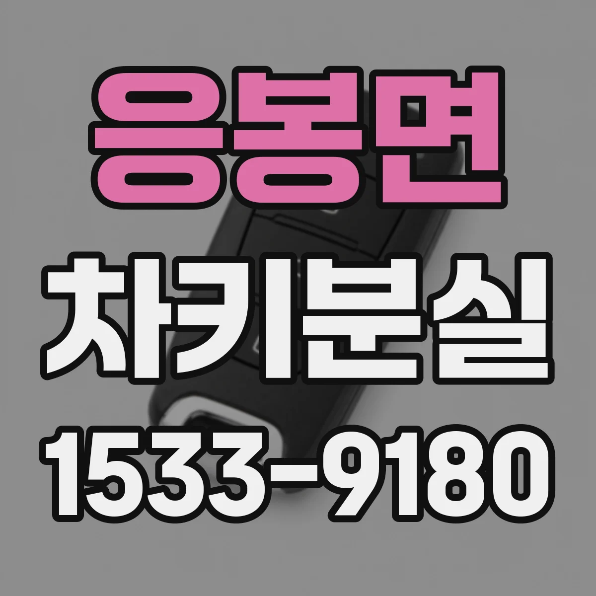 응봉면 차키분실