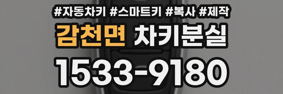 감천면 차키분실