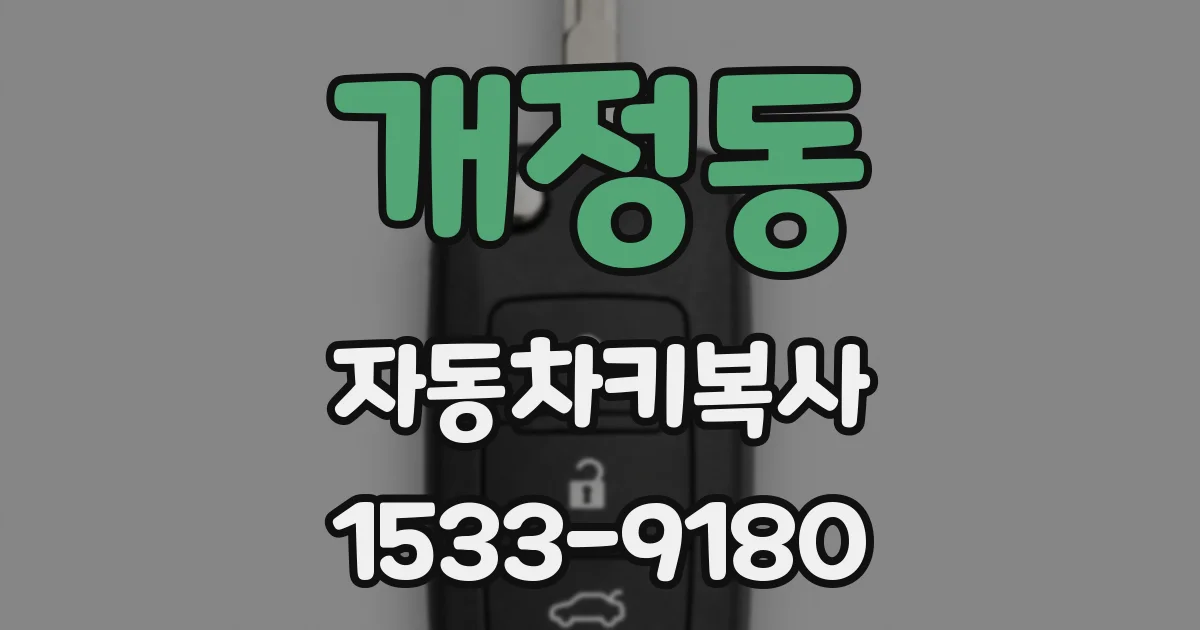 개정동 자동차키복사