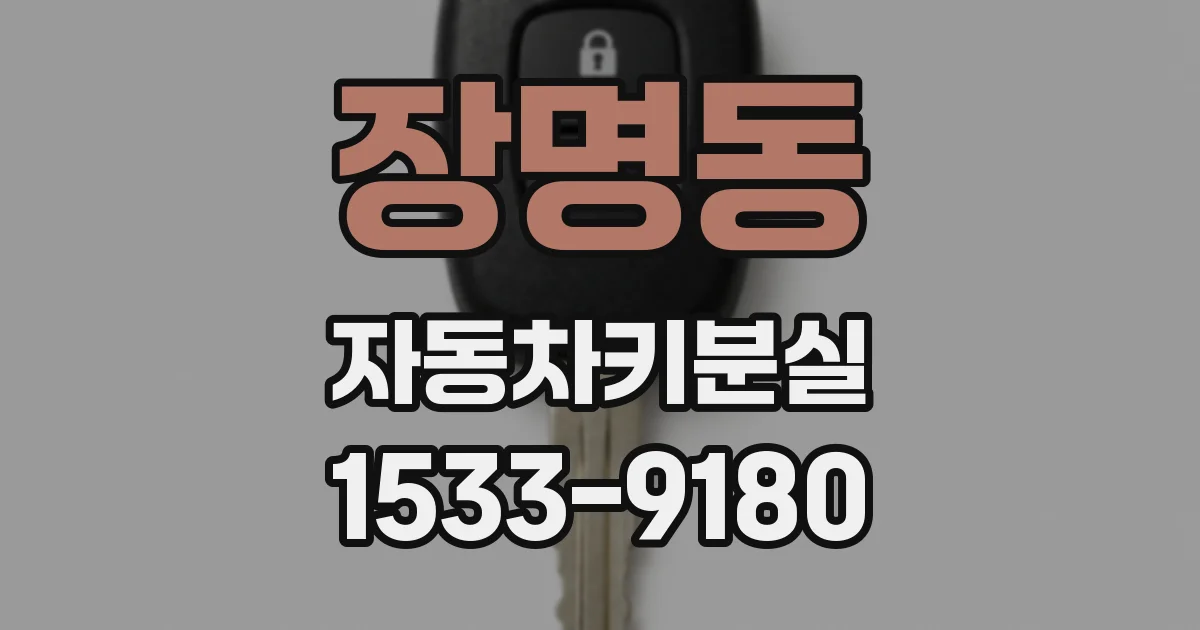 장명동 자동차키분실