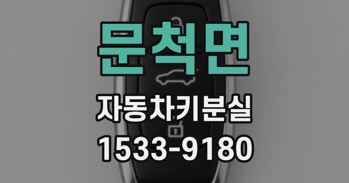 문척면 자동차키분실