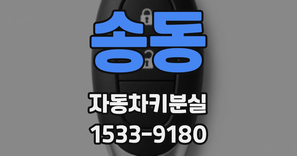 송동 자동차키분실