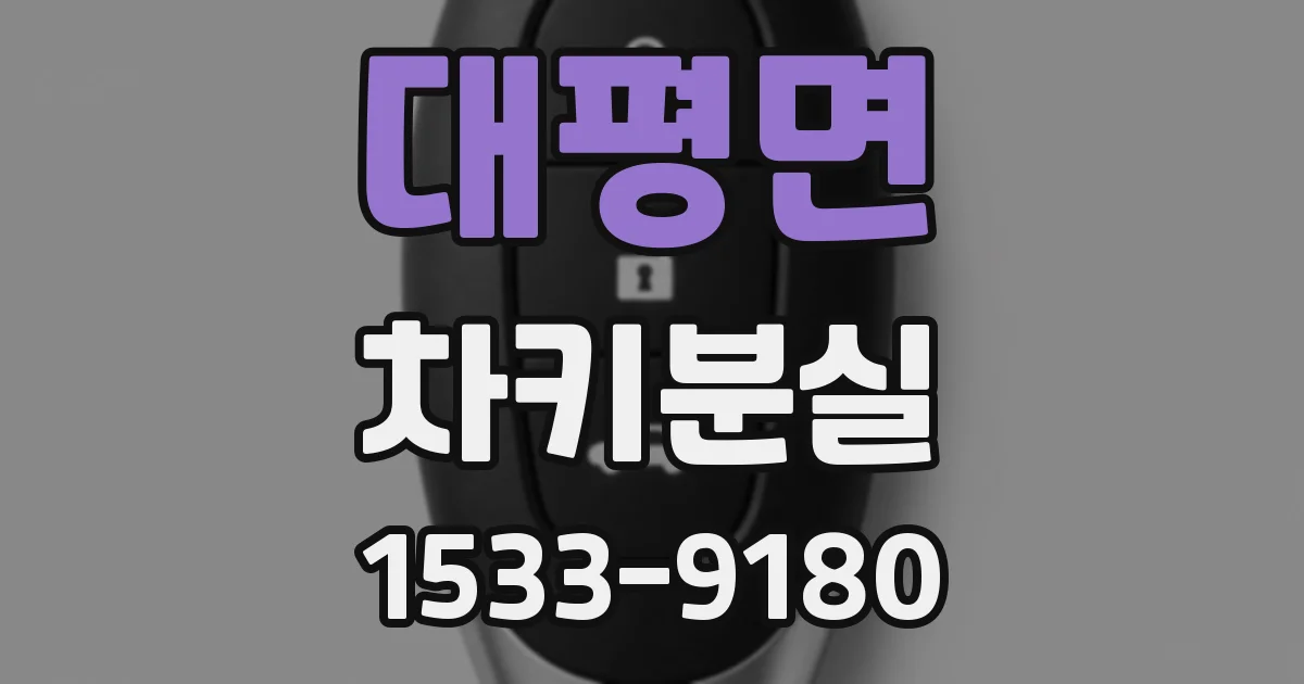 대평면 차키분실