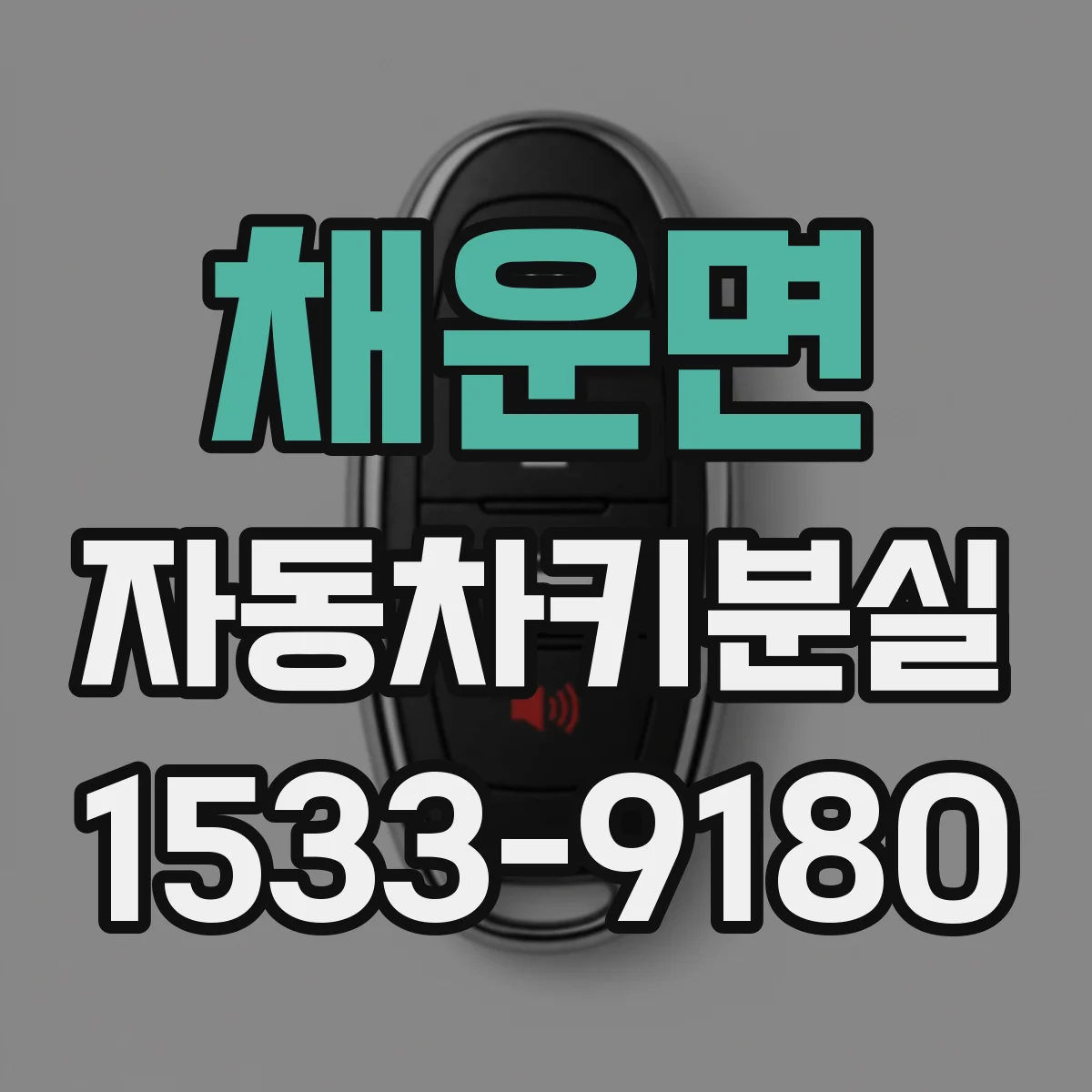 채운면 자동차키분실