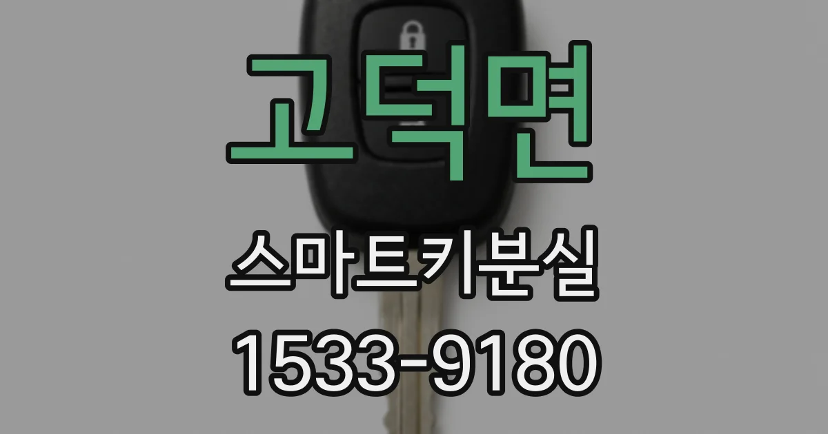 고덕면 스마트키분실