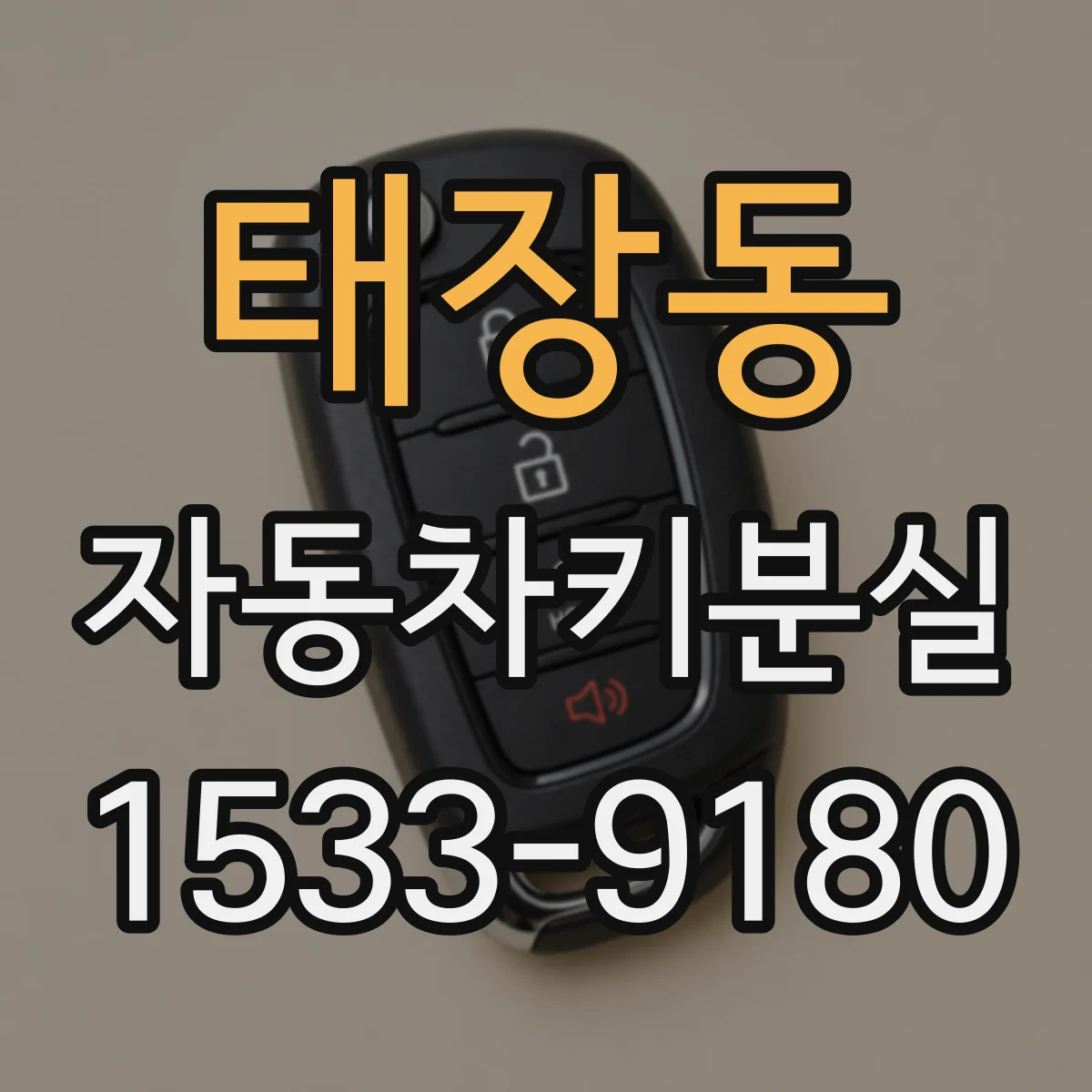 태장동 자동차키분실
