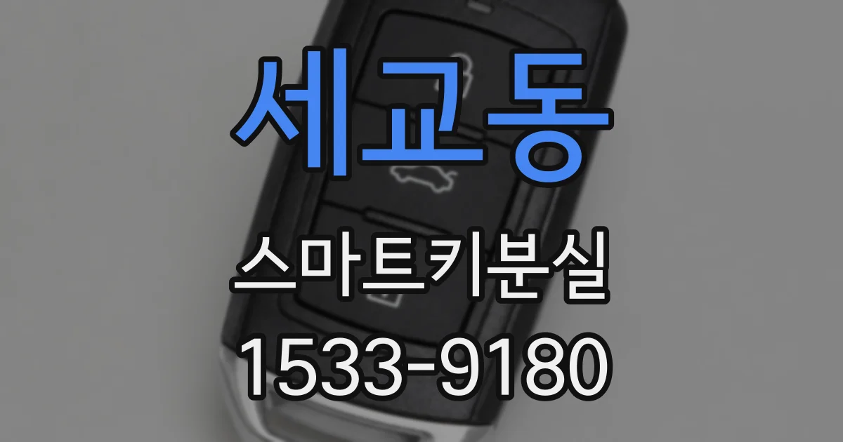 세교동 스마트키분실