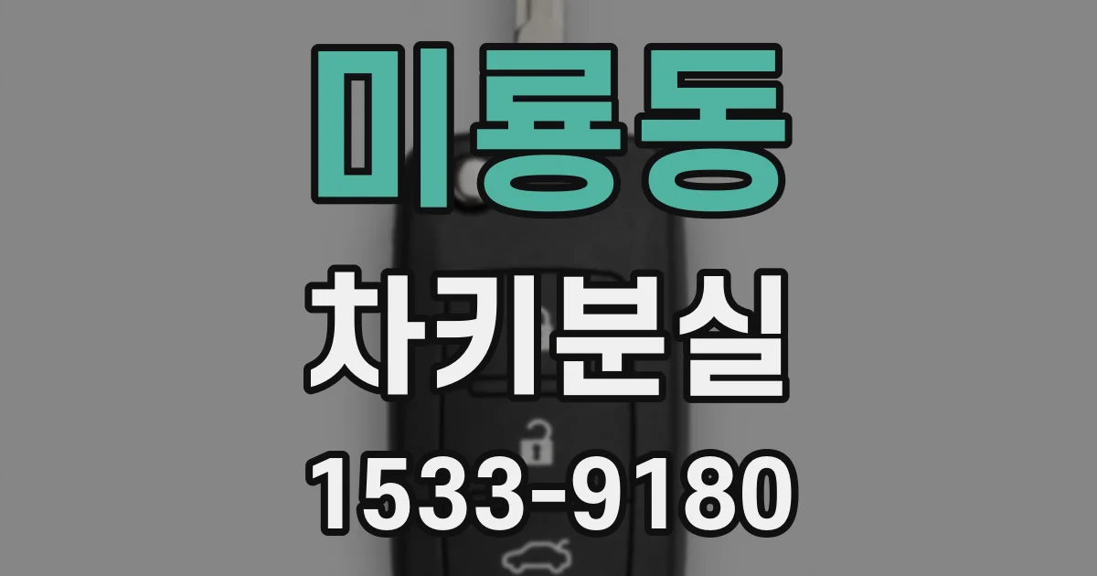 미룡동 차키분실