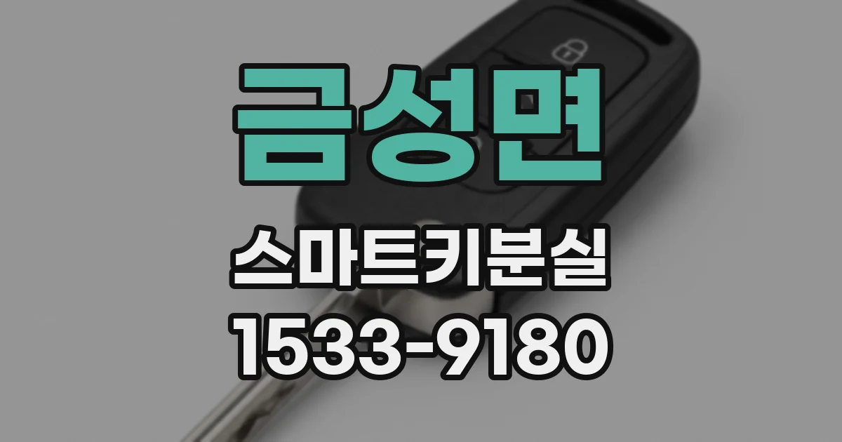금성면 스마트키분실