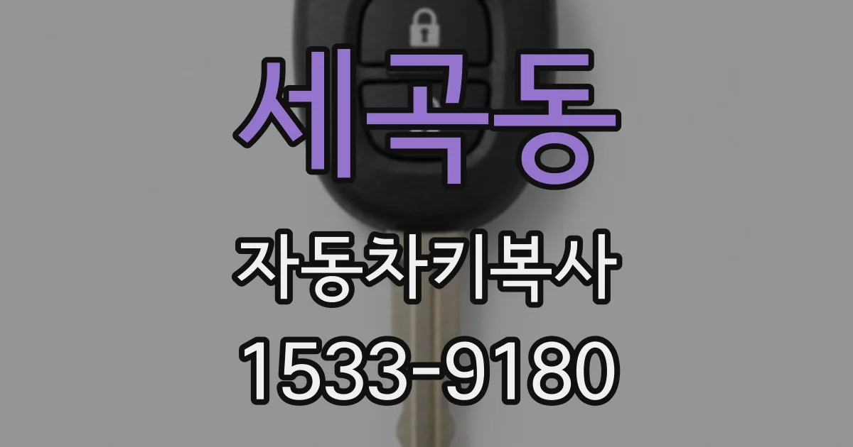 세곡동 자동차키복사