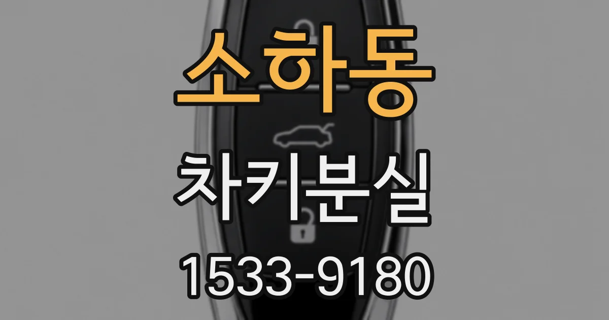소하동 차키분실