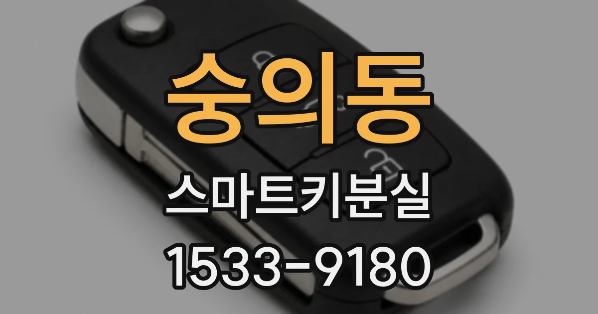 숭의동 스마트키분실