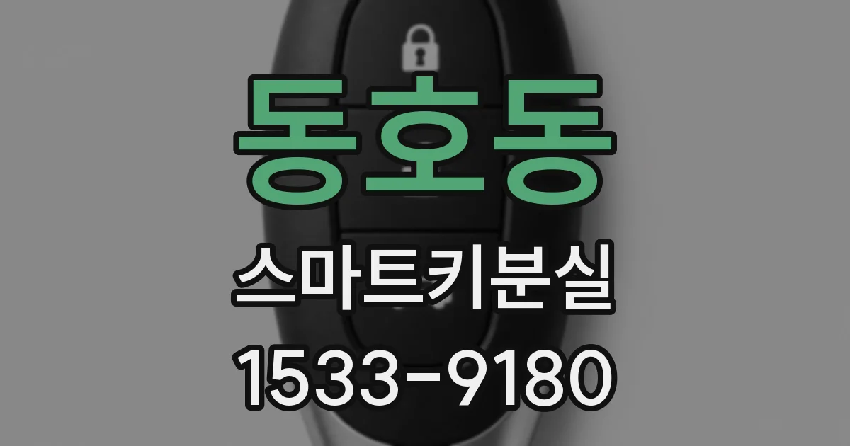 동호동 스마트키분실