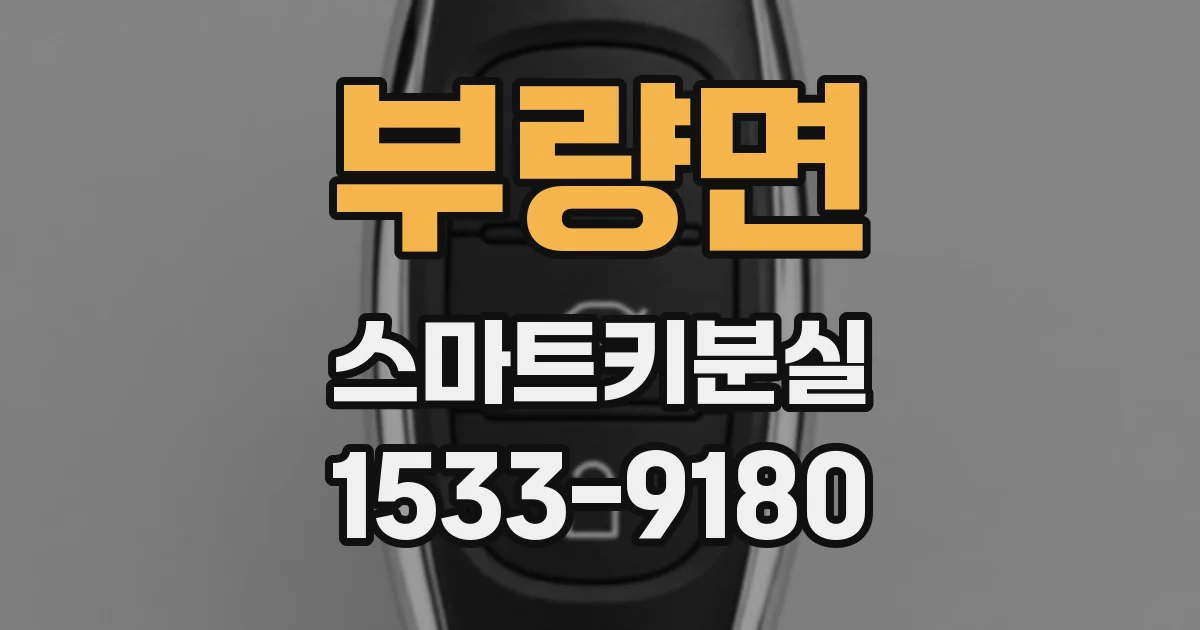 부량면 스마트키분실