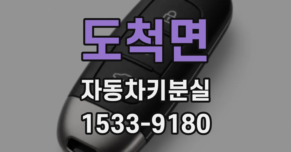 도척면 자동차키분실