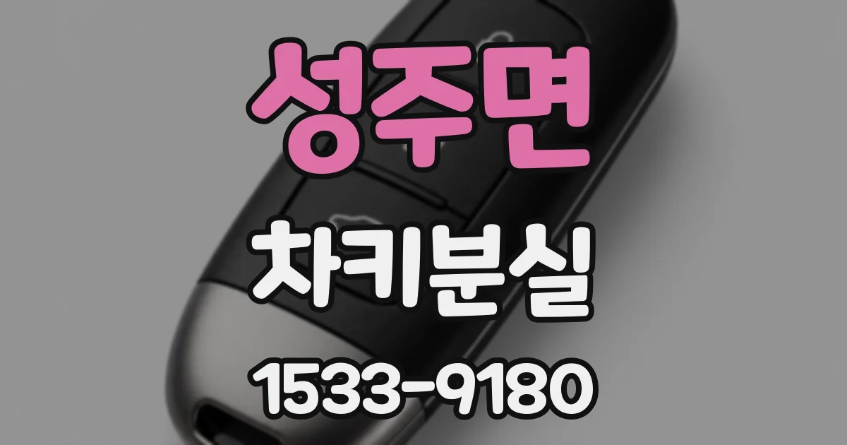 성주면 차키분실