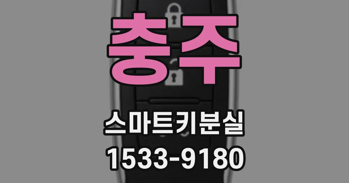 충주 스마트키분실