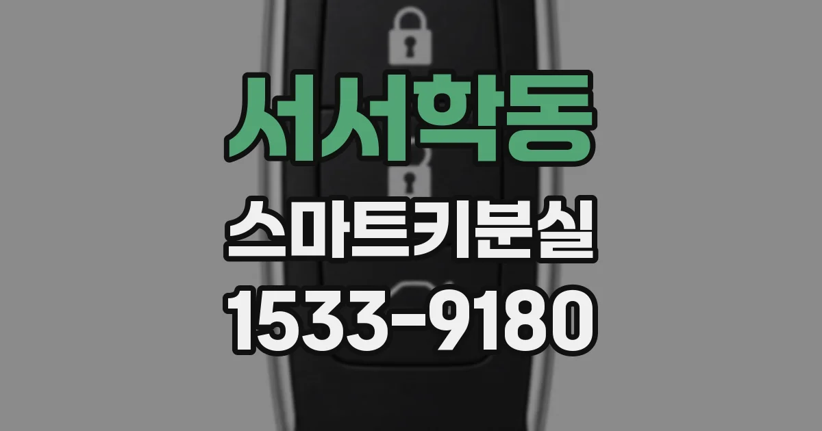 서서학동 스마트키분실