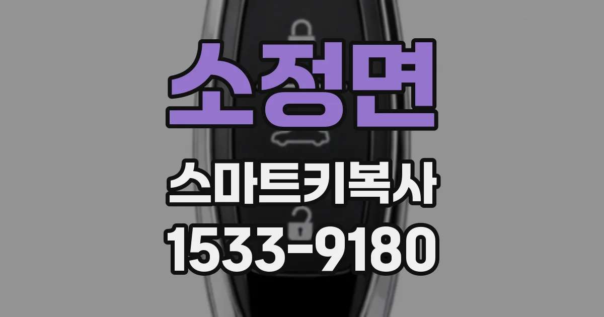 소정면 스마트키복사