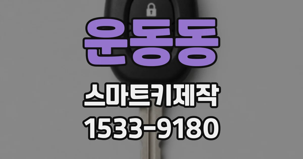 운동동 스마트키제작